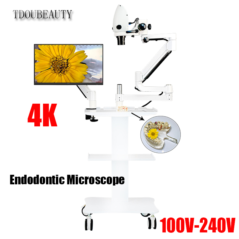 Teeth Whitening Video - Mikroskop Elektron Gigi 4K 20 Juta