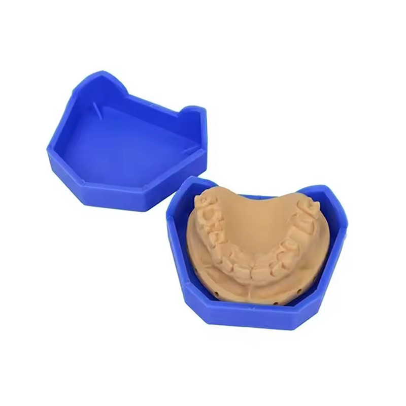 2/6 Buah Model Gigi Dasar Sili - Teeth Whitening Trays ulasan dan harga