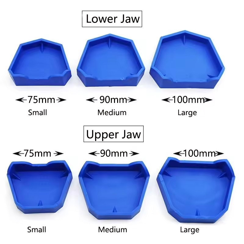 2/6 Buah Model Gigi Dasar Sili - Teeth Whitening Trays ulasan dan harga