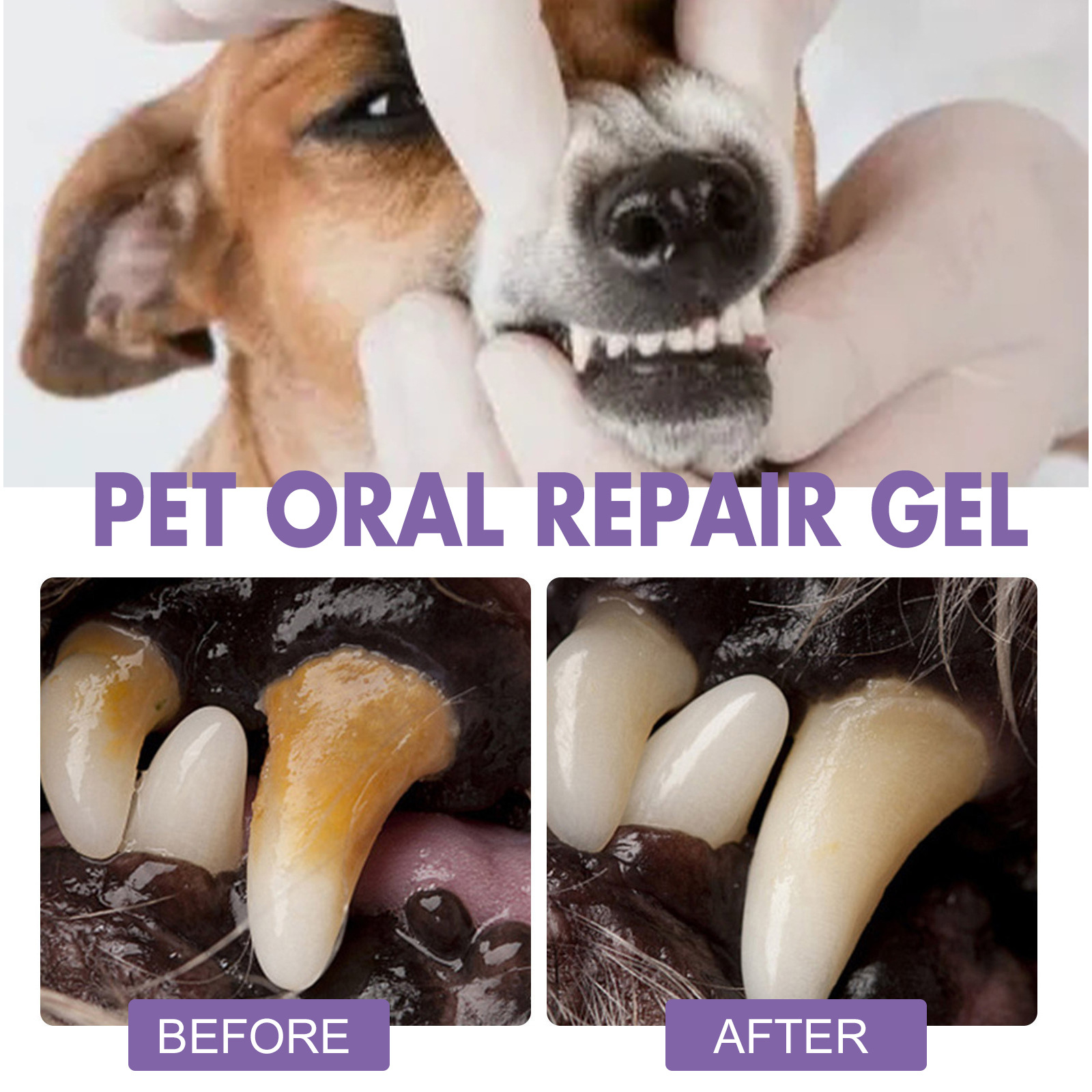 Gel perbaikan mulut hewan peli - Teeth Whitening Results ulasan dan harga