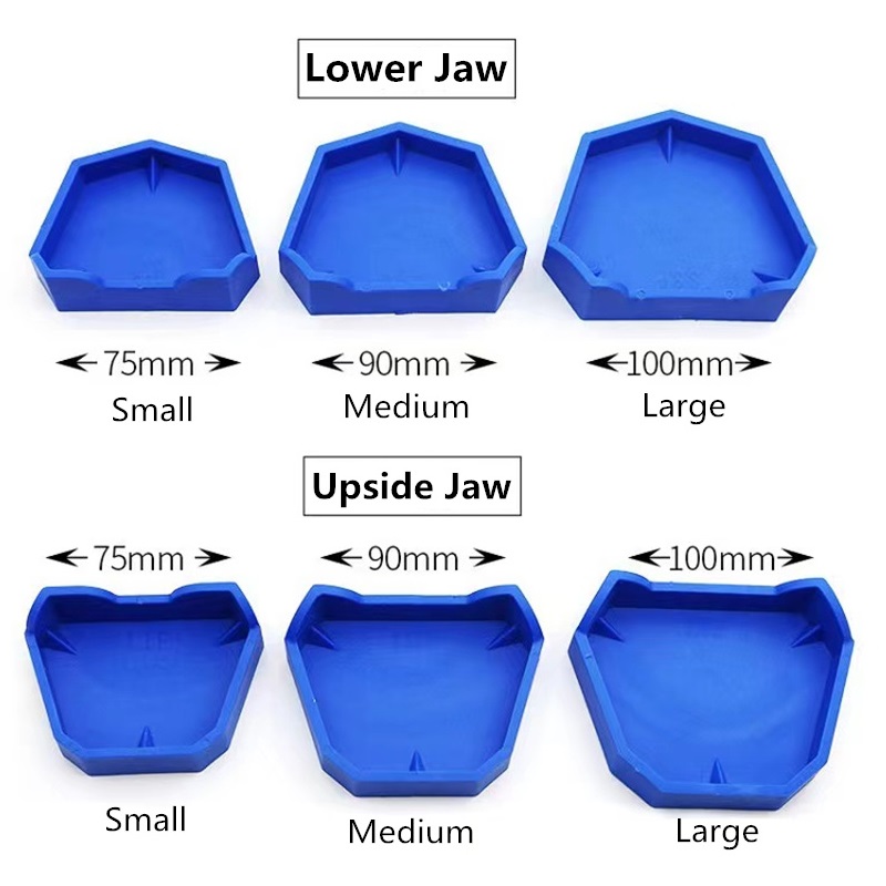 6 buah/set Model gigi dasar pl - Teeth Whitening Trays ulasan dan harga